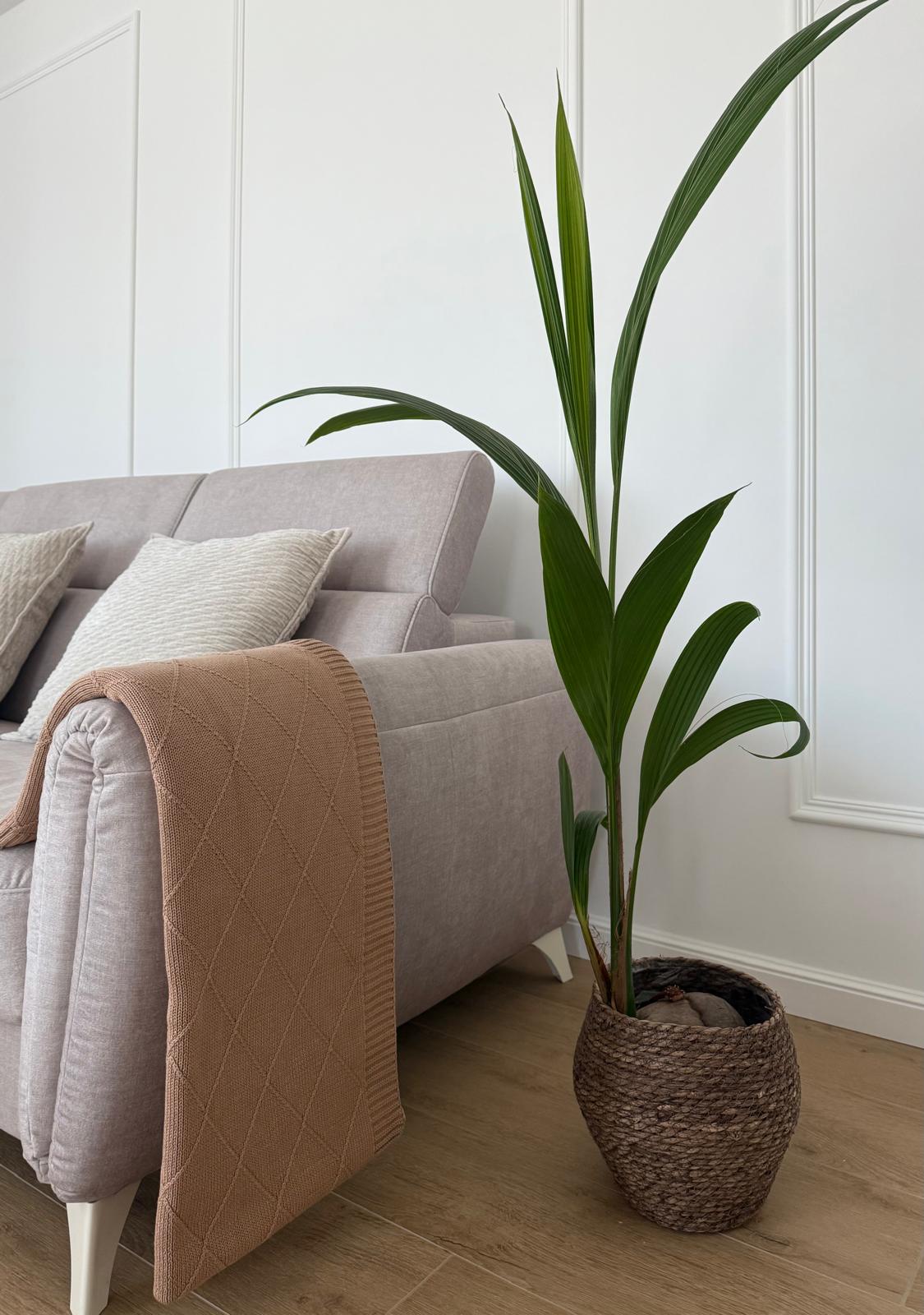 Koc bawełniany Diamond Elegance HOME